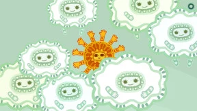 s_1.webp