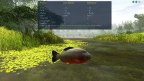 s_2.webp