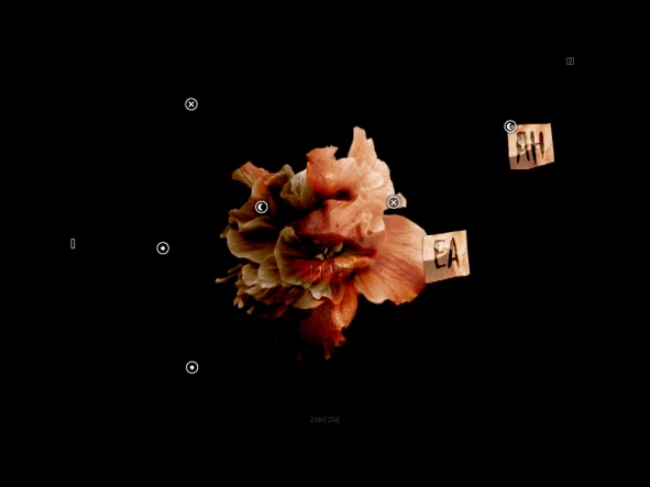b_6.webp