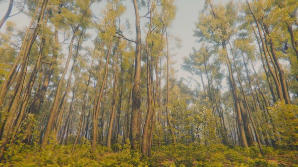 b_7.webp