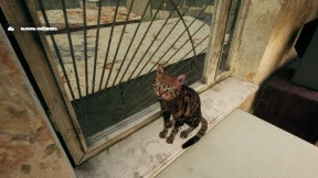 s_2.webp