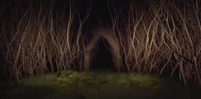 s_6.webp