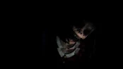 s_2.webp
