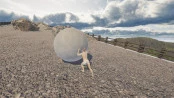s_2.webp