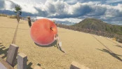 s_6.webp