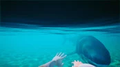 s_3.webp
