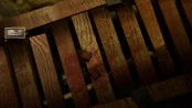 s_7.webp