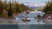 s_6.webp