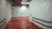 s_7.webp