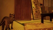 s_3.webp