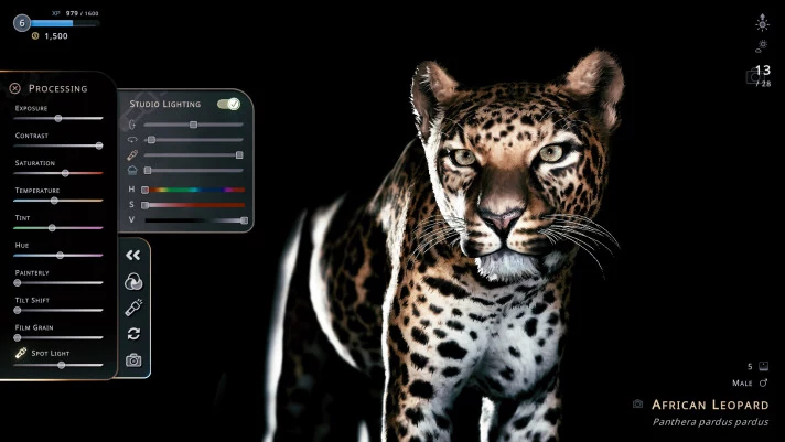 b_7.webp