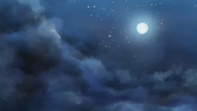 s_2.webp
